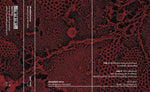 Shredded Nerve : Bleeding From The Head (Cass, Album, C32)