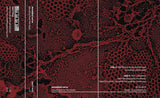 Shredded Nerve : Bleeding From The Head (Cass, Album, C32)