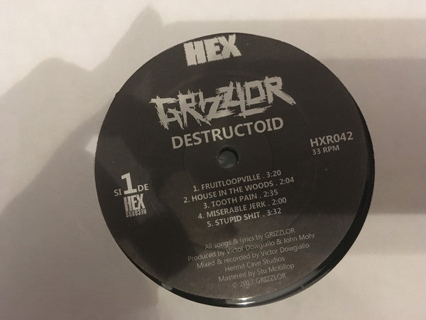 Grizzlor : Destructoid (LP, Album, Ltd)