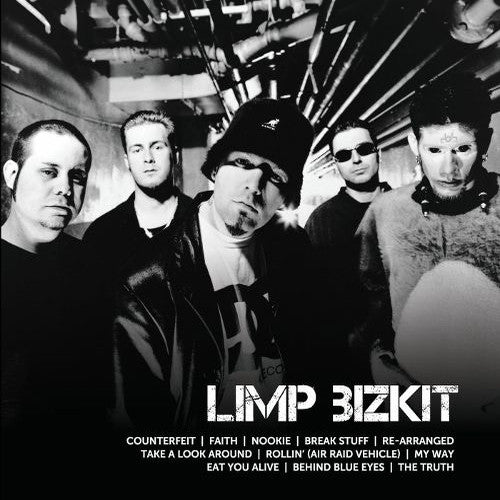 Limp Bizkit : Icon (CD, Comp)