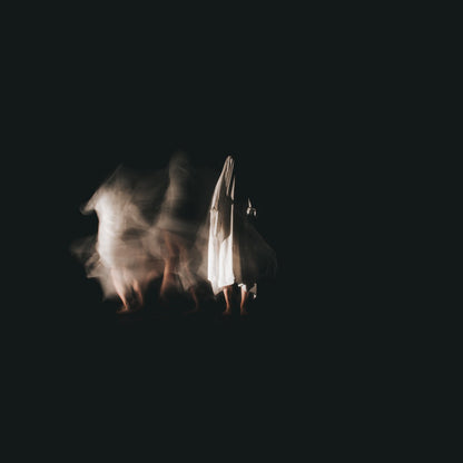 Young Mountain (2) : Lost Tree (LP, Album, Tra)
