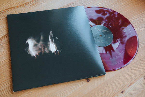 Young Mountain (2) : Lost Tree (LP, Album, Tra)