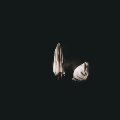 Young Mountain (2) : Lost Tree (LP, Album, Tra)
