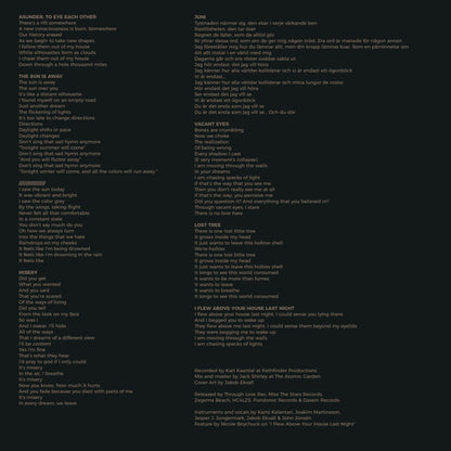Young Mountain (2) : Lost Tree (LP, Album, Tra)