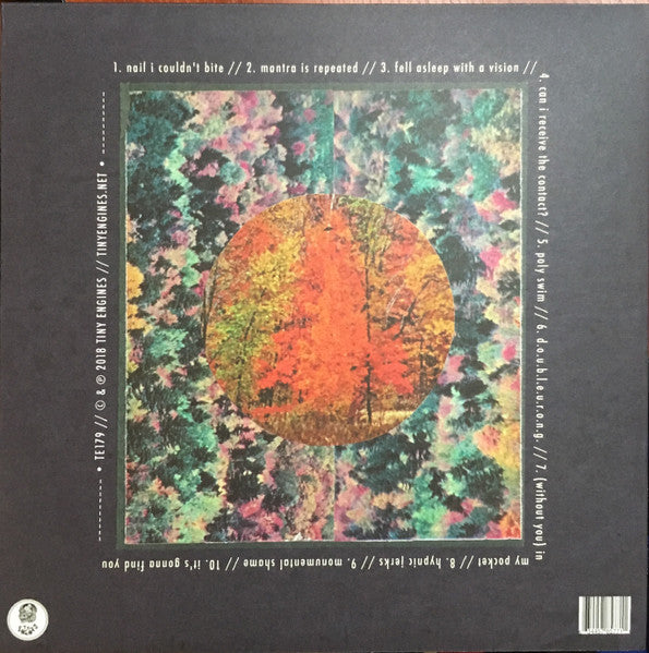 Spirit Of The Beehive* : Hypnic Jerks (LP, Album, Cle)