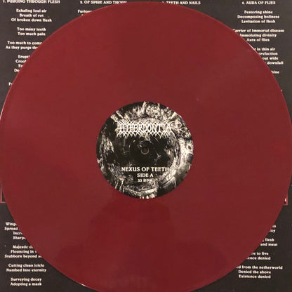 Hyperdontia (2) : Nexus Of Teeth (LP, Album, Ltd, Oxb)