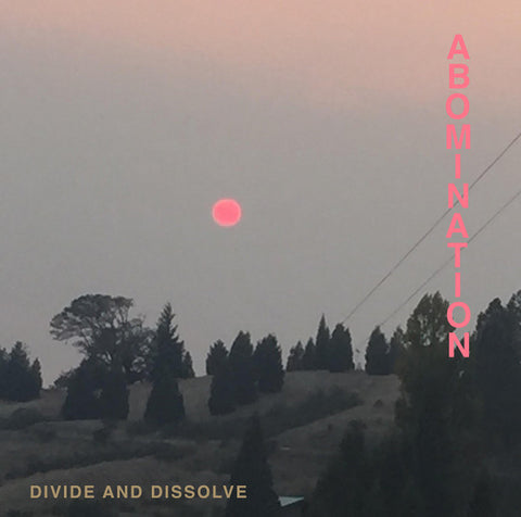 Divide and Dissolve : Abomination (LP, Album)