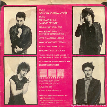 The Necessaries* : You Can Borrow My Car (7", Single)