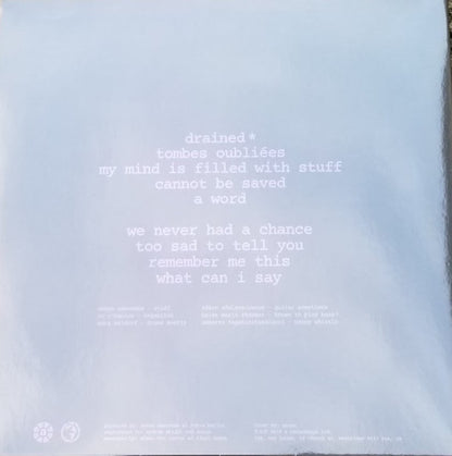 The Brian Jonestown Massacre : The Brian Jonestown Massacre (LP, Album, Cle)