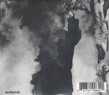 Hesitation Wounds : Chicanery (CD, Album)