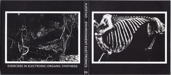 Kjostad : Environment Electronics (CD, Album, RE, RM)