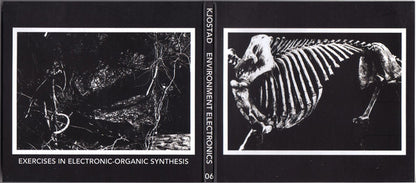Kjostad : Environment Electronics (CD, Album, RE, RM)