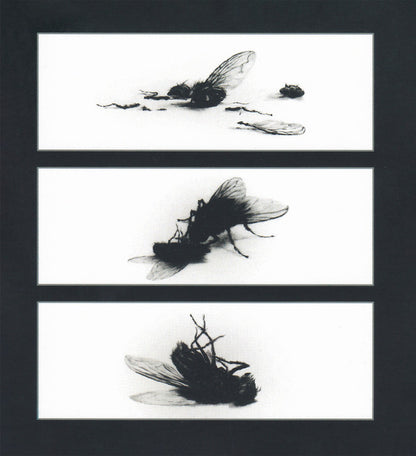 Throat (3) : Bareback (Stripped & Remasked) (2xCD, Album)