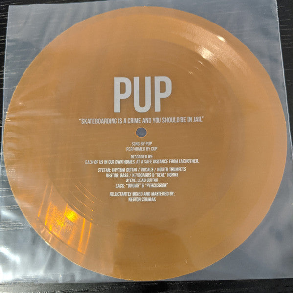 Pup (3) : Skateboarding Is A Crime And You Should Be In Jail (Flexi, 7")