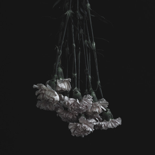 Horsewhip : Laid To Waste (12", Album, Opa)