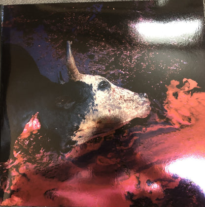 Dropdead : Dropdead 2020 (LP, Album, Ltd, Mar)