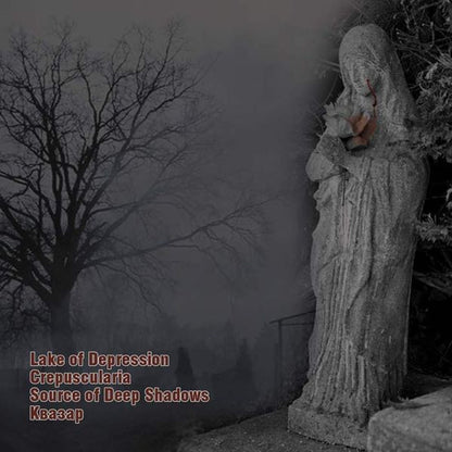 Lake Of Depression / Crepuscularia / Source Of Deep Shadows / Квазар : Infinity In Soul CD - I (CD, Ltd, Num)