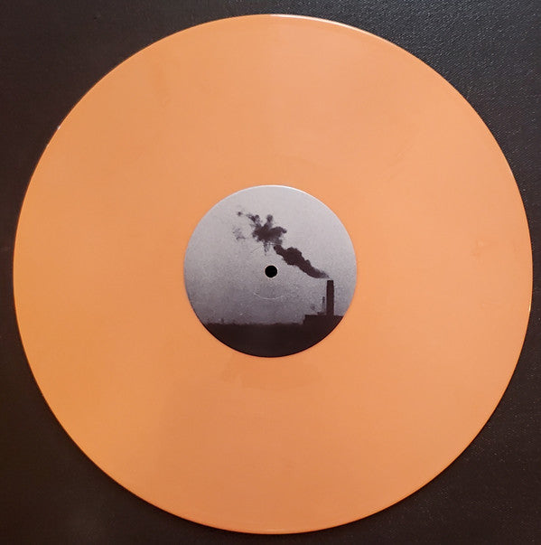 The Goodboy Suit : Within Walls Without Windows (LP, Ltd, Sal)