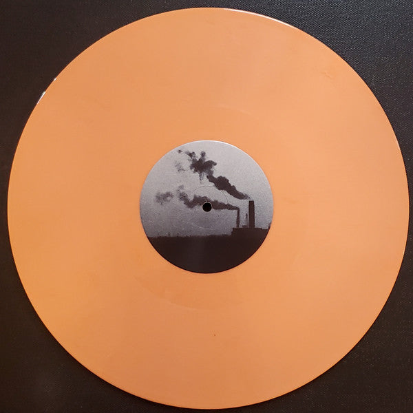 The Goodboy Suit : Within Walls Without Windows (LP, Ltd, Sal)