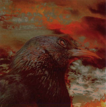 Sigh (2) : Scenes From Hell (CD, Album)