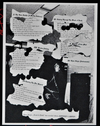 Orgy Of Carrion : Thine Origin... Incest & Death (LP, Album)
