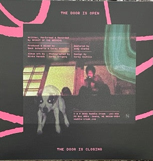 Spirit Of The Beehive* : The Door (7", Single, Ltd, Pin)