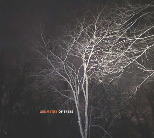 Tomeka Reid, Kyoko Kitamura, Taylor Ho Bynum & Joe Morris : Geometry Of Trees (CD, Album)