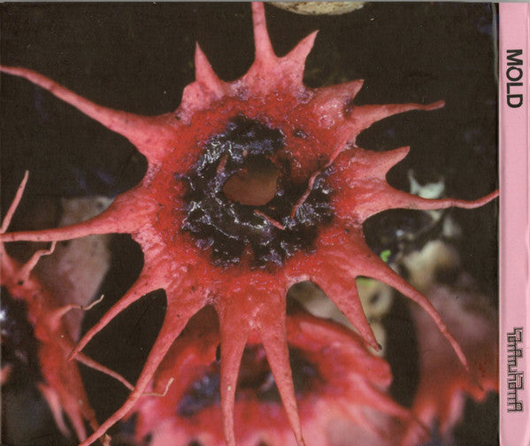 Mold (26) : Mold (CD, Album)
