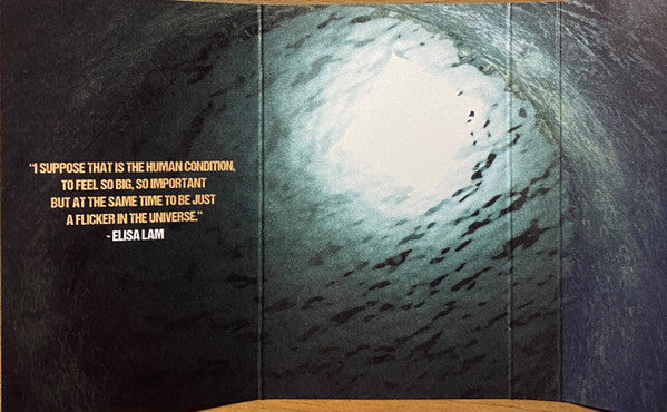 Spider God : Fly In The Trap (Cass, Album, Ltd, Bla)