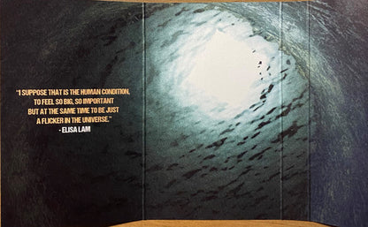 Spider God : Fly In The Trap (Cass, Album, Ltd, Bla)