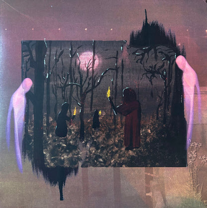 Pale Shade : Darker Days (LP, Album, Eco)