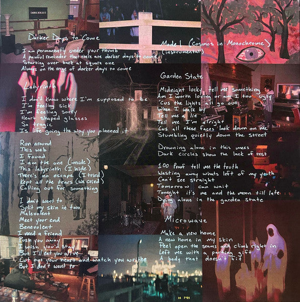 Pale Shade : Darker Days (LP, Album, Eco)