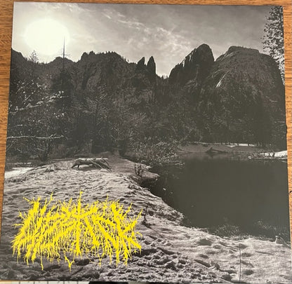Lipstick (50) : The Wasteland We Left Behind (LP)