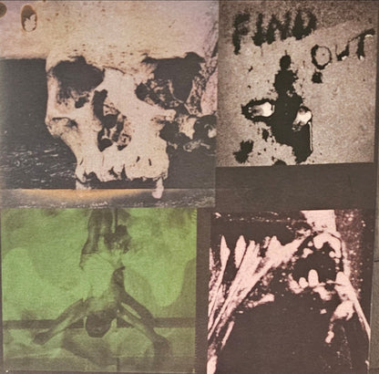 Filth Is Eternal : Find Out (LP, Album, Ltd, Bon)