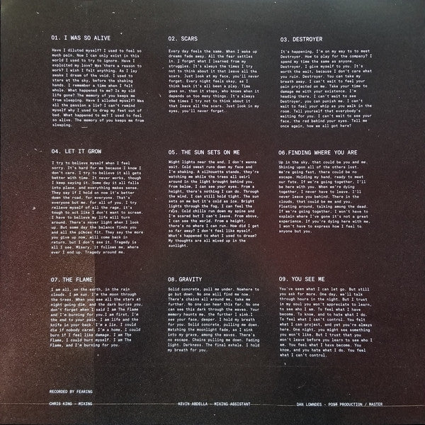 Fearing : Destroyer (LP, Album, Dar)