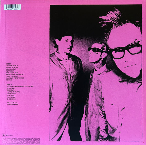 Blink-182 : One More Time... (LP, Album)