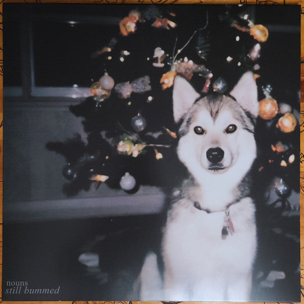 Nouns : Still Bummed (LP, Album, Ltd, RE, RM, Bab)