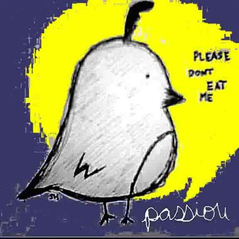Passiou : Please Don't Eat Me (CD, Album)