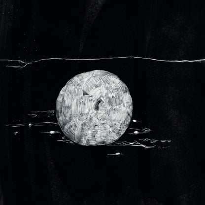 Pettersson : Ashen Plain (LP, Album, Red)