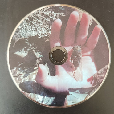 Panopticon (6) / When Bitter Spring Sleeps : Panopticon / When Bitter Spring Sleeps (CD, Album)