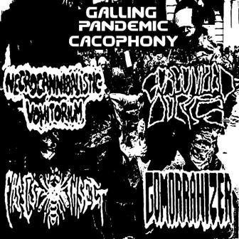 Necrocannibalistic Vomitorium / Gorgonized Dorks / Fascist Insect / Gomorrahizer : Galling Pandemic Cacophony (LP, Spl)