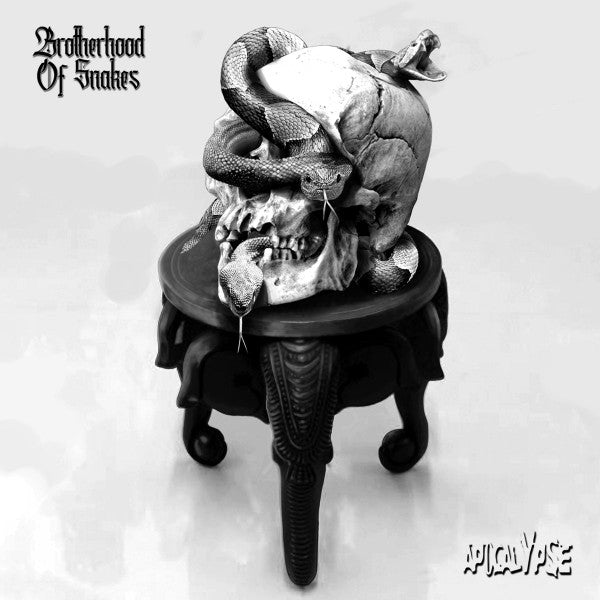 Various : Brotherhood Of Snakes (12", Comp)