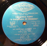 Bubble Puppy : A Gathering Of Promises (LP, Album, RE)