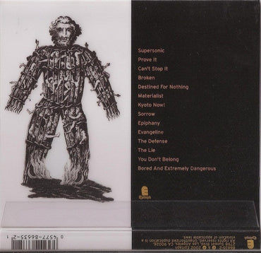 Bad Religion : The Process Of Belief (CD, Album)
