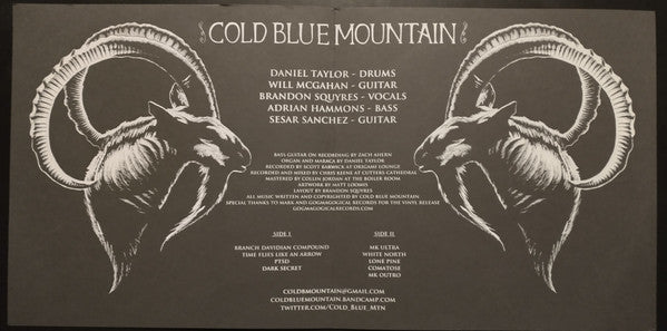 Cold Blue Mountain : Cold Blue Mountain (LP, Album, Ltd)