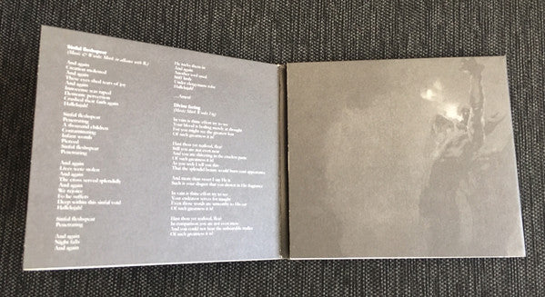 Malign (2) : Divine Facing + Fireborn (CD, Comp)