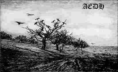 Aedh : Aedh (Cass, S/Sided)
