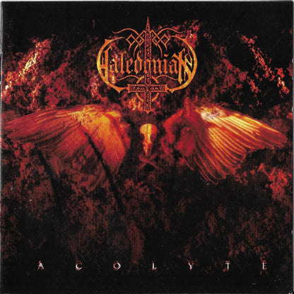 Caledonian : Acolyte (CD, Album)
