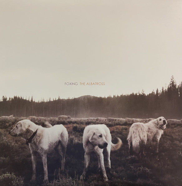 Foxing : The Albatross  (LP, Album, Bon)