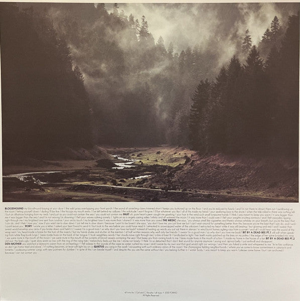 Foxing : The Albatross  (LP, Album, Bon)